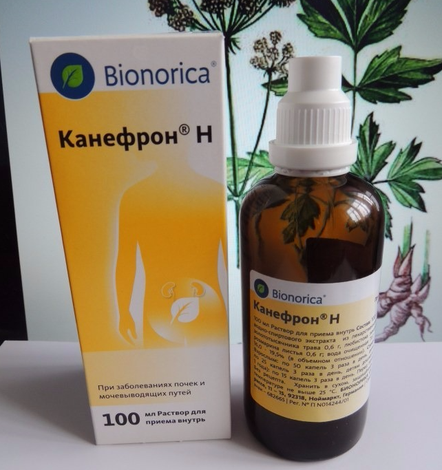 Канефрон Н капли