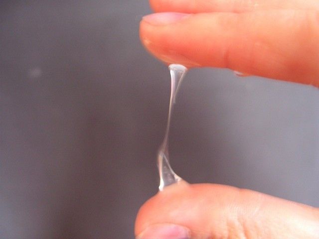 Прозрачные выделения