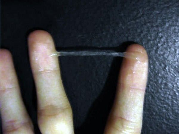 Прозрачные